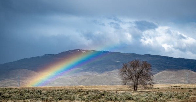 March 23, 2026 Devotion image