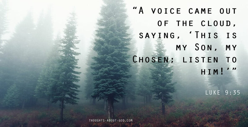 Receive, Refine, Reflect