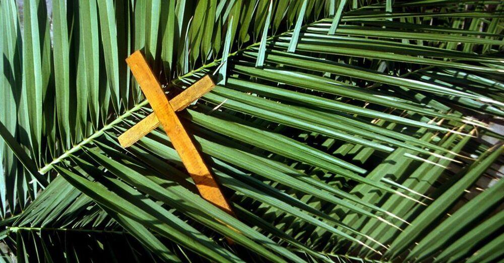 PALM SUNDAY