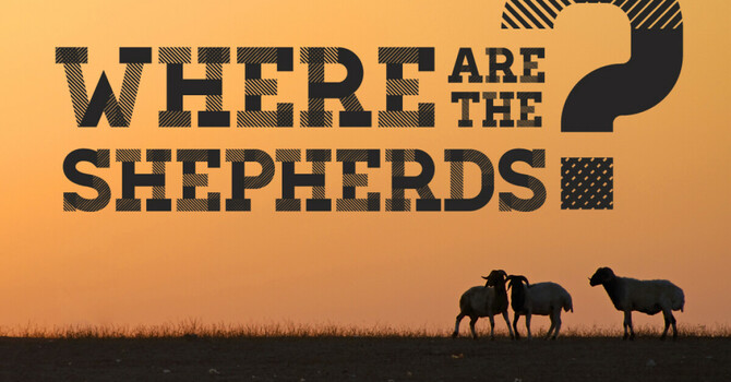 Where Are The Shepherds?