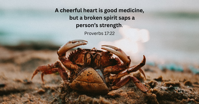 A Merry Heart Is Good Medicine! image