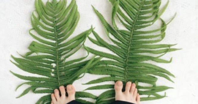 Worship Service March 29, 2026