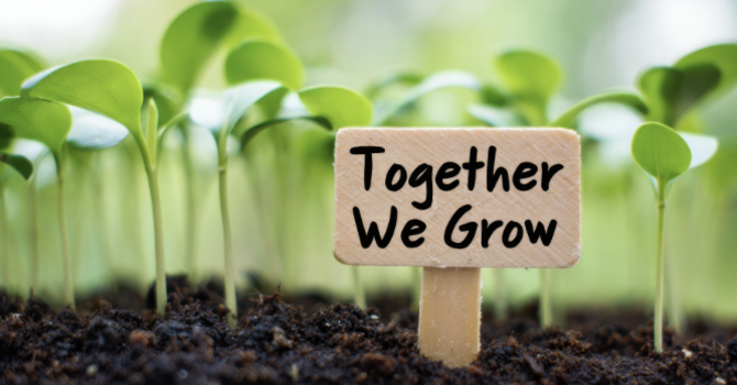 Stewardship Challenges