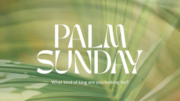 Palm Sunday - What kind of king are you looking for?