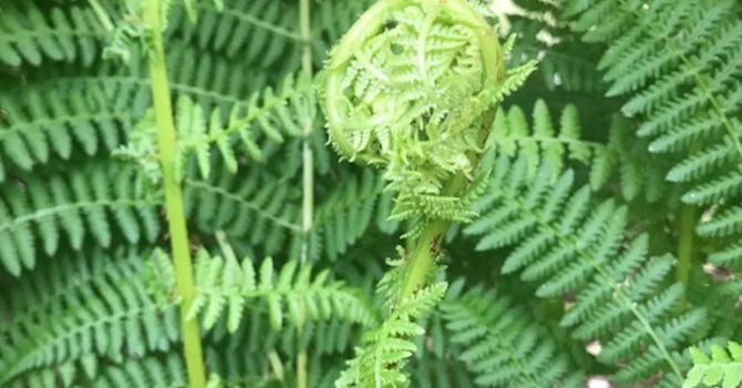 New Spring/Summer 2026 Program