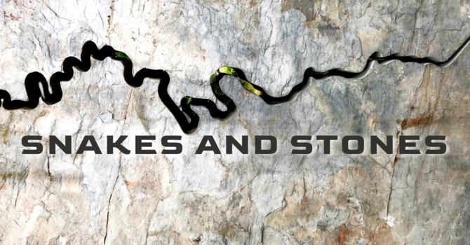 Snakes and Stones