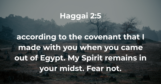 Haggai 2:5 image