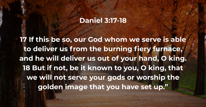 Daniel 3:17-18 image