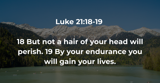 Luke 21:18-19 image