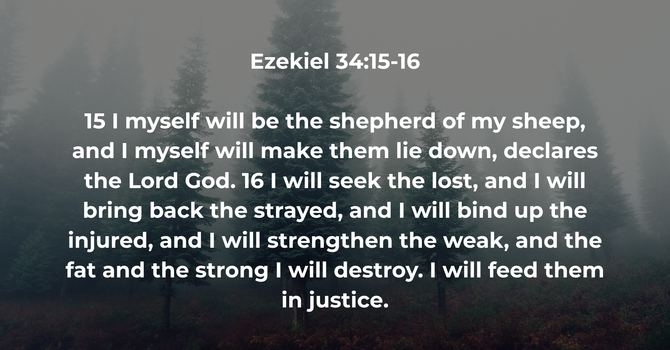 Ezekiel 34:15-16 image