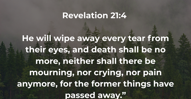 Revelation 21:4 image