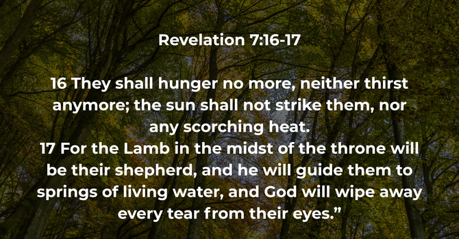Revelation 7:16-17 image