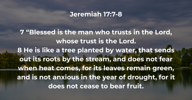 Jeremiah 17:7-8 image