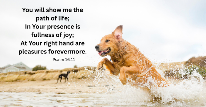 In His Presence Is Fullness of Joy! image