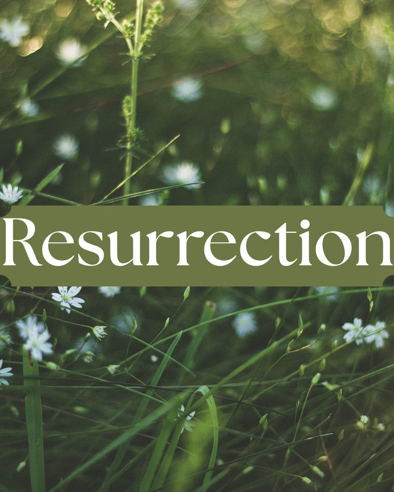 Resurrection