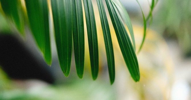 Cancelled: 8:30 AM Service