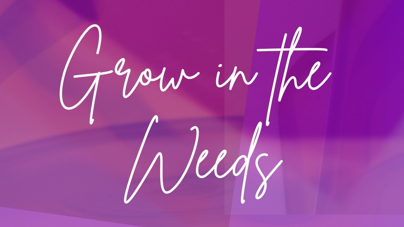 Grow in the Weeds