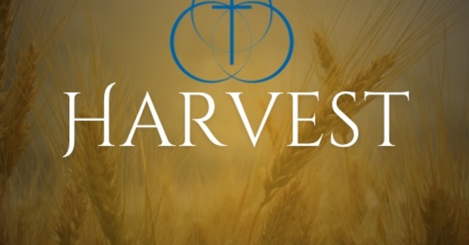 Care Connection image