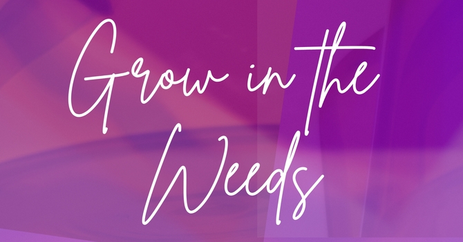 Grow in the Weeds