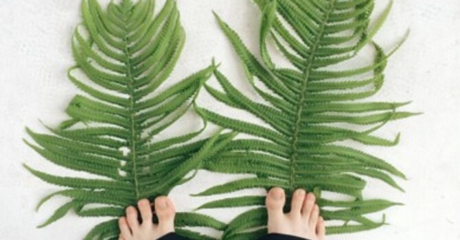 Worship Service March 29, 2026 image