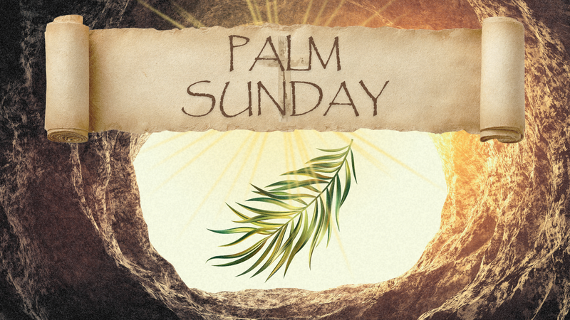 "THE I AM STATEMENTS OF JESUS"