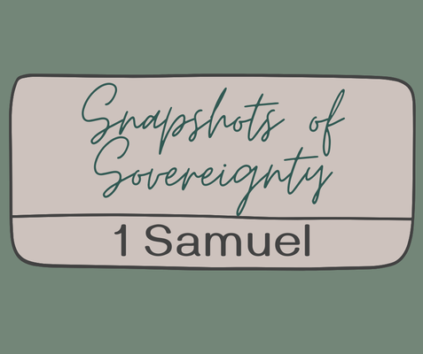 Snapshots of Sovereignty