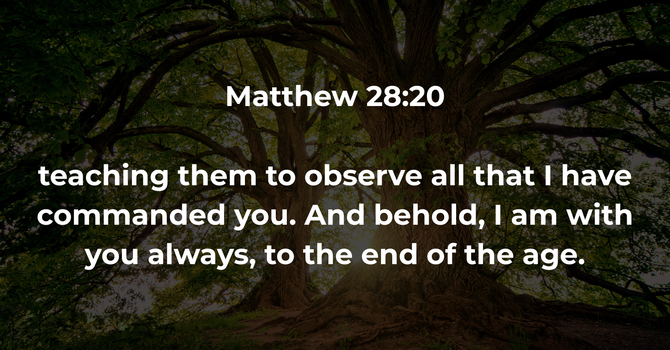Matthew 28:20 image
