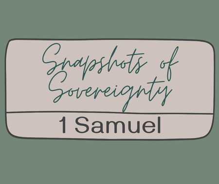 Snapshots of Sovereignty