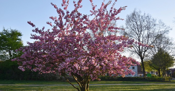 March 25, 2026 Devotion image