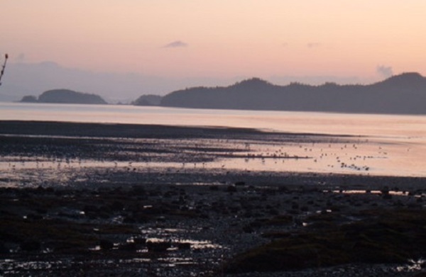 Easter Sunrise Service