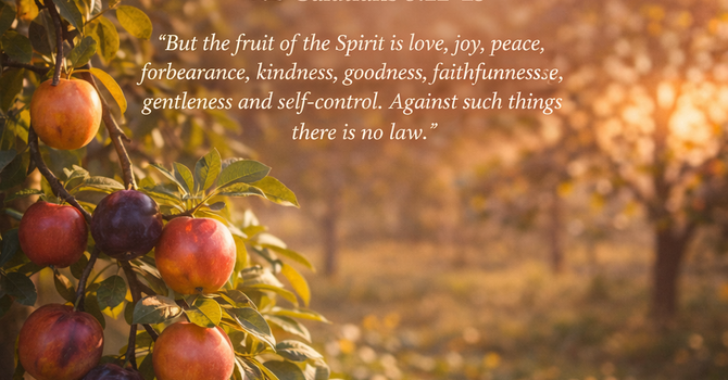 Fruit Is Evidence, Not Effort image