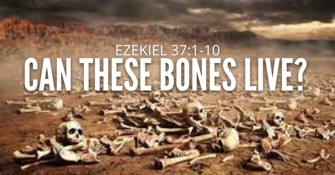 Can These Bones Live?