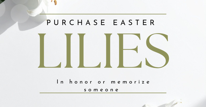 Purchase Easter Lilies image