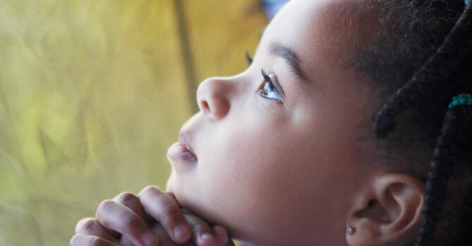 This is a test image