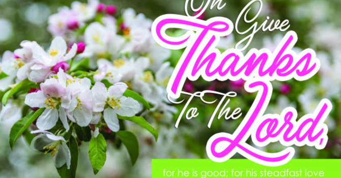 Joey's Tuesday Devotional image