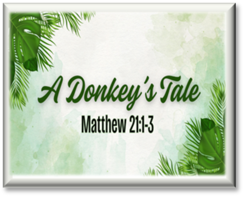 "A Donkey's Tale"
