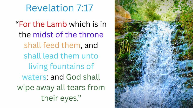 Book of Revelation Episode 16 - Chapter 7