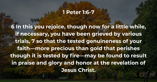 1 Peter 1:6-7 image