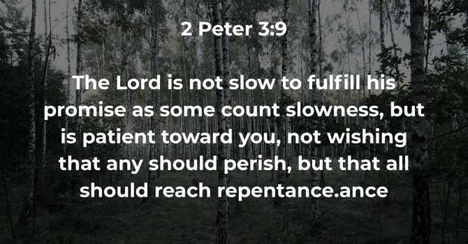 2 Peter 3:9 image