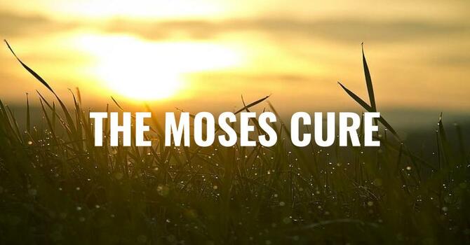 The Moses Cure - Bro. Doerflinger