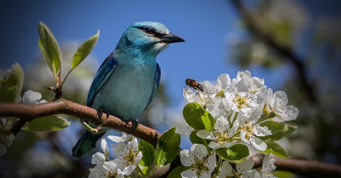 March 26, 2026 Devotion image