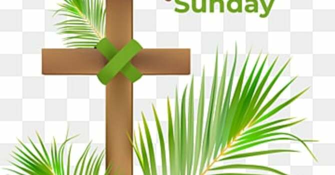 Palm Sunday, March 29, 2026, at 10:00 a.m. in the YMCA Gym. Pastor Sara’s sermon is The Good News is….inspiring us to act