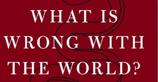 What is Wrong with the World