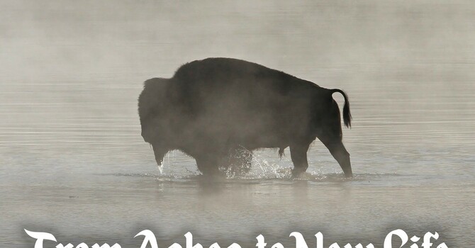 Easter Vigil - April 4, 2026