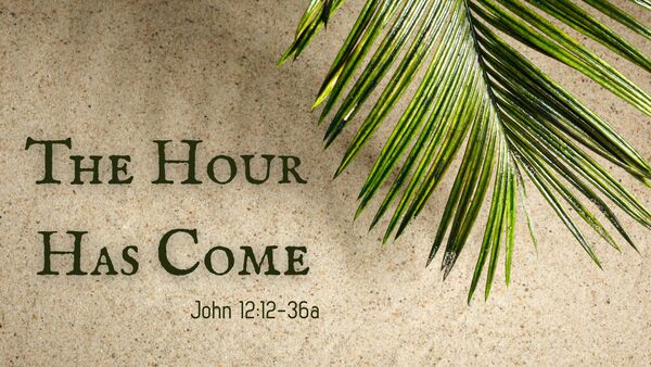 A Message from Dr. Brian Thomas