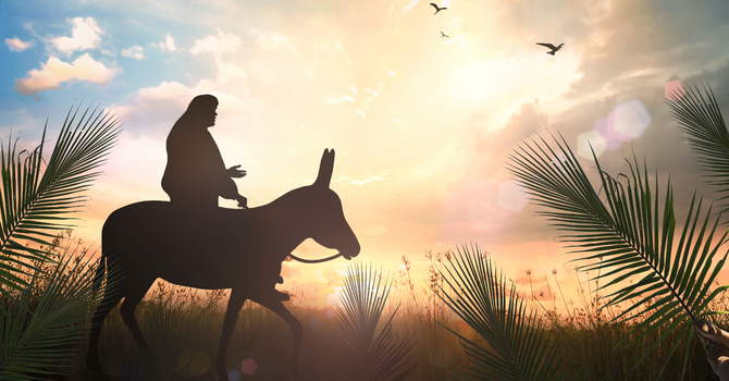 “Conclusion: Living Truth”