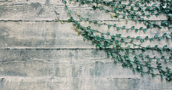 AST Receives  Pathways for Tomorrow Planning Grant image