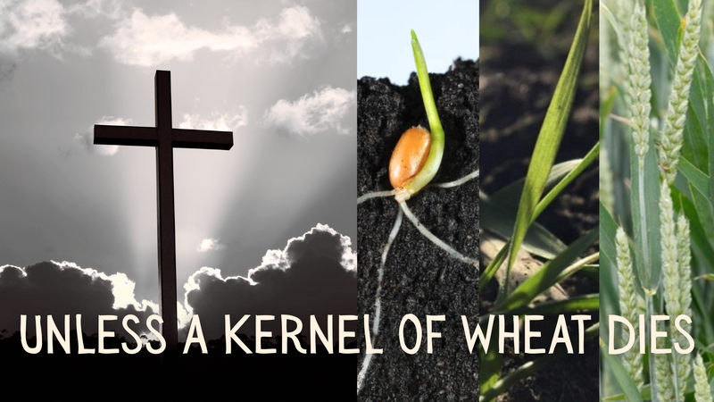 Unless a Kernel of Wheat Dies