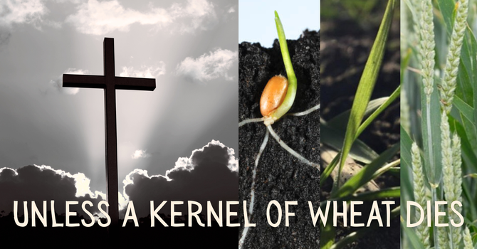 Unless a Kernel of Wheat Dies
