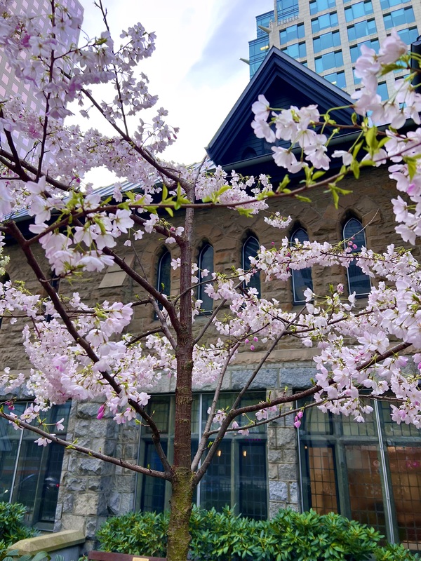 Greeters Needed For  Holy Week Services 